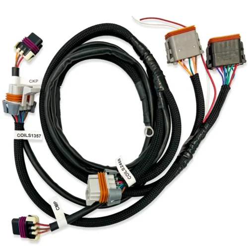 TA2SSLS-H_harness for SmartSpark Trans Am TA2 Racing